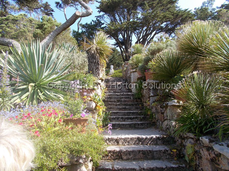 Tresco Abbey - J